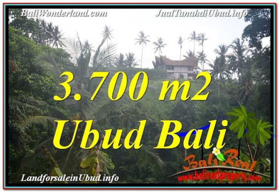 36+ Villa Murah Di Ubud Bali Viral