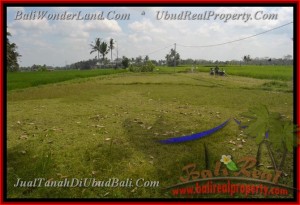 Exotic 600 m2 LAND FOR SALE IN UBUD BALI TJUB427